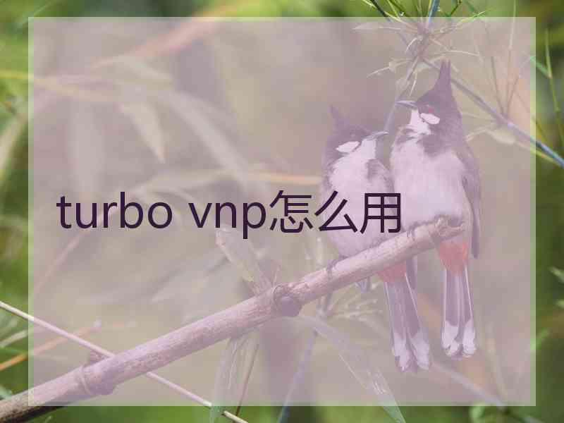 turbo vnp怎么用