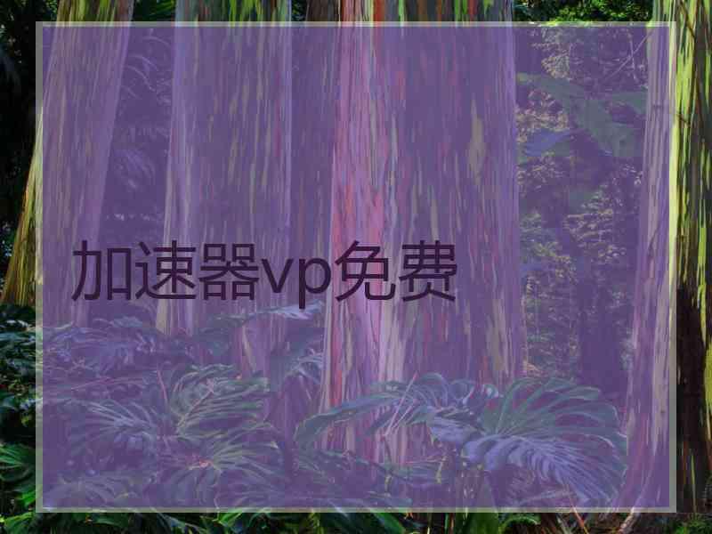 加速器vp免费