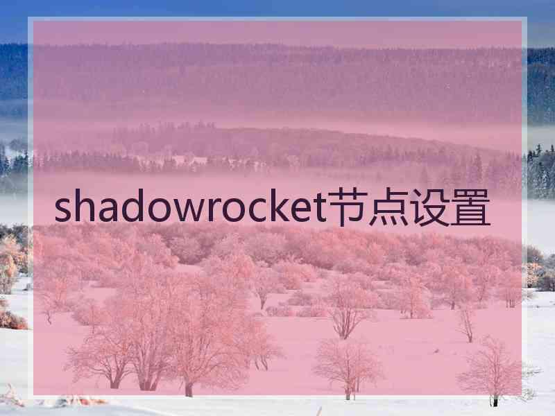 shadowrocket节点设置