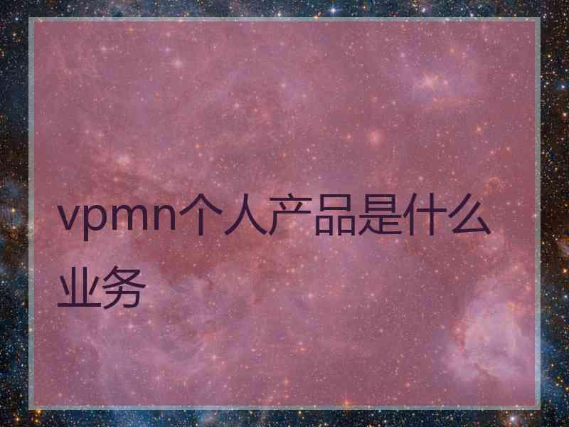 vpmn个人产品是什么业务