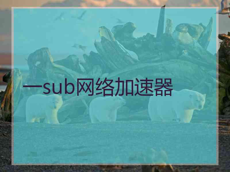 一sub网络加速器