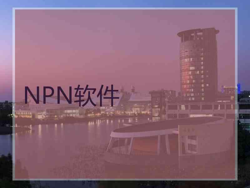 NPN软件