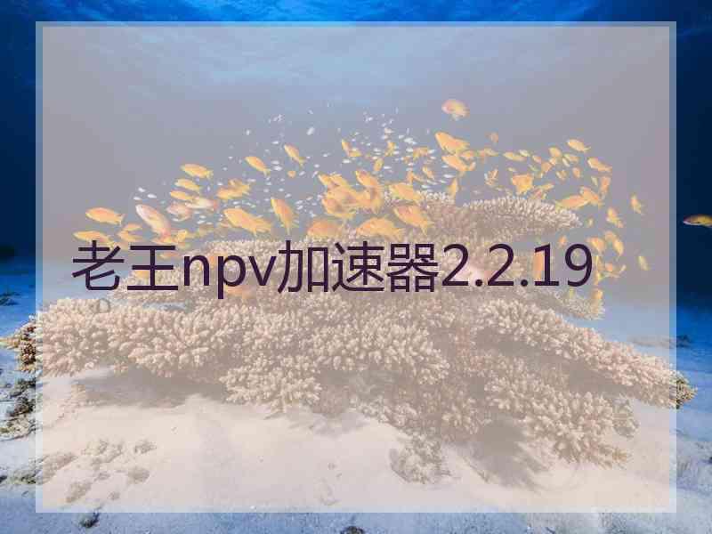 老王npv加速器2.2.19