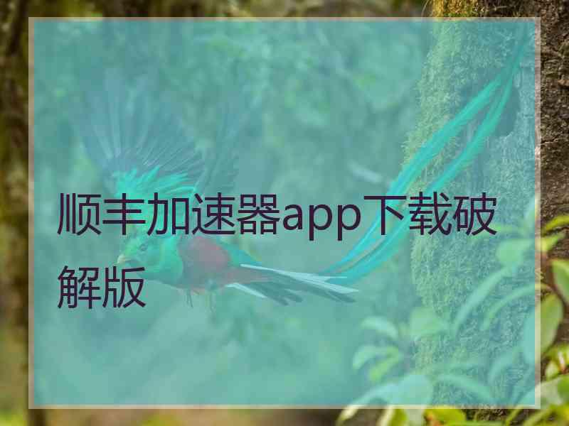 顺丰加速器app下载破解版