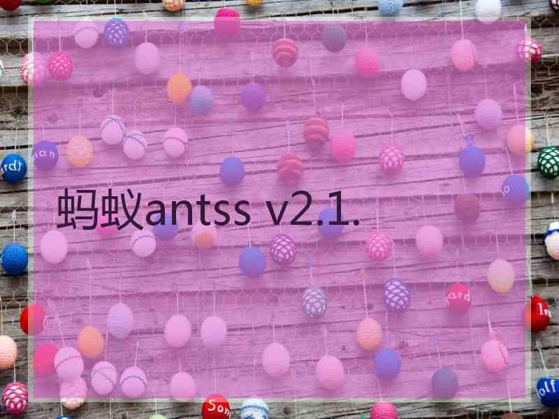 蚂蚁antss v2.1.