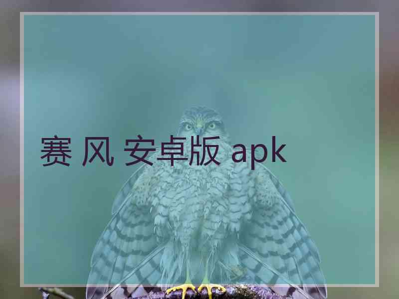 赛 风 安卓版 apk