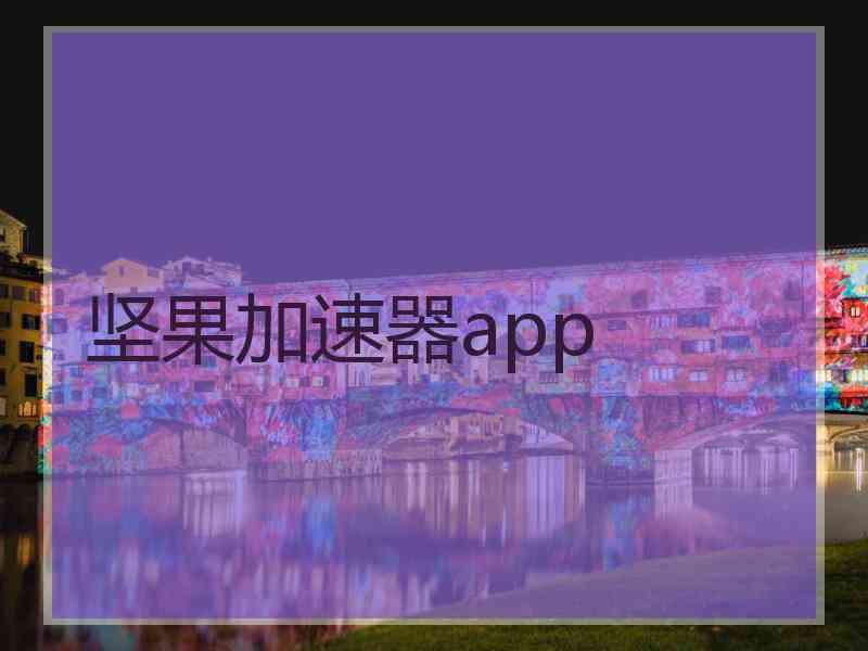 坚果加速器app