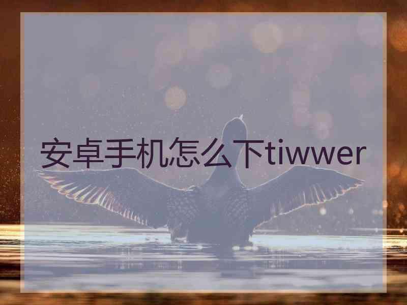 安卓手机怎么下tiwwer