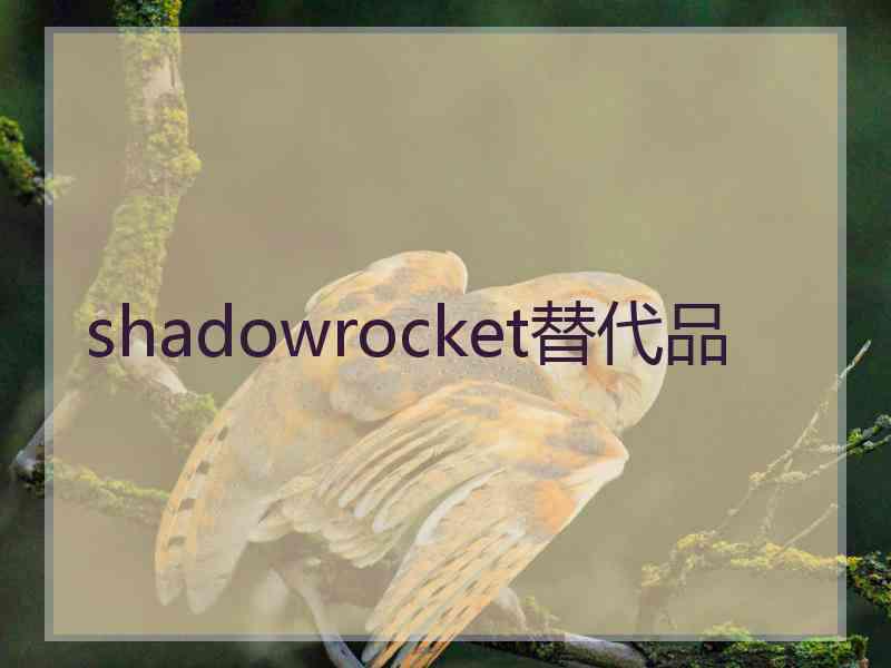 shadowrocket替代品