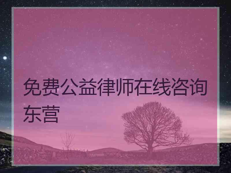 免费公益律师在线咨询东营