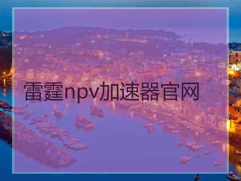 雷霆npv加速器官网