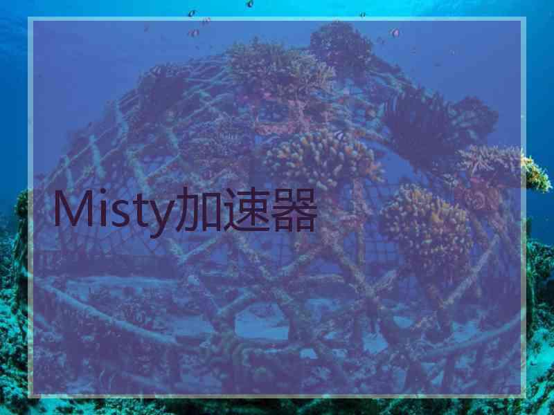 Misty加速器