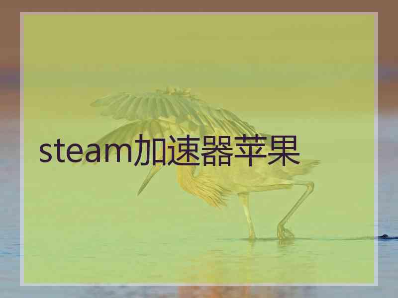 steam加速器苹果