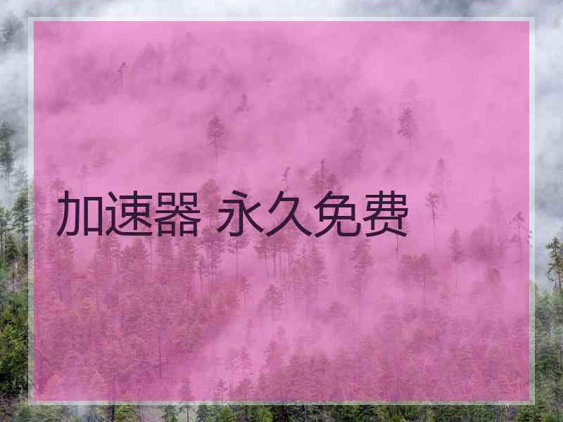 加速器 永久免费