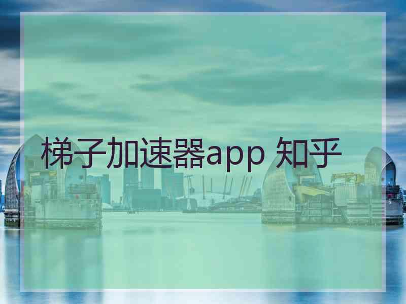 梯子加速器app 知乎