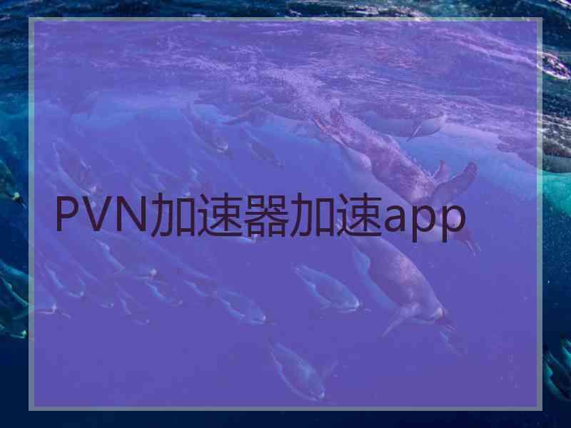 PVN加速器加速app