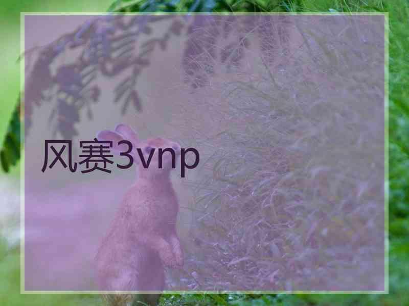 风赛3vnp