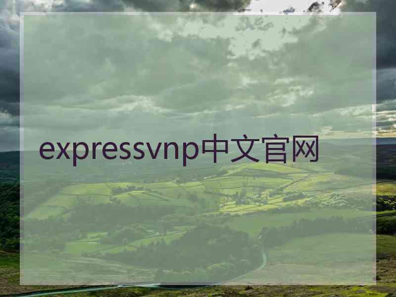 expressvnp中文官网