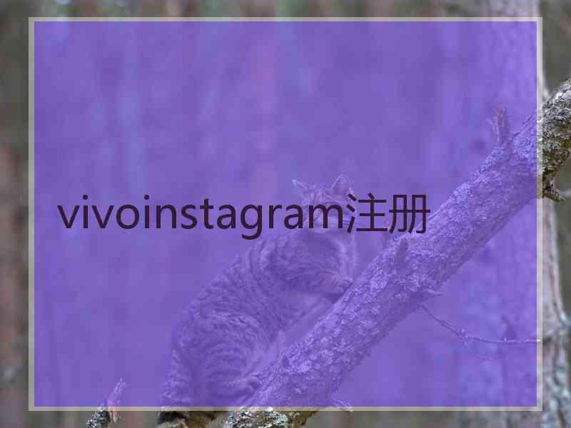 vivoinstagram注册