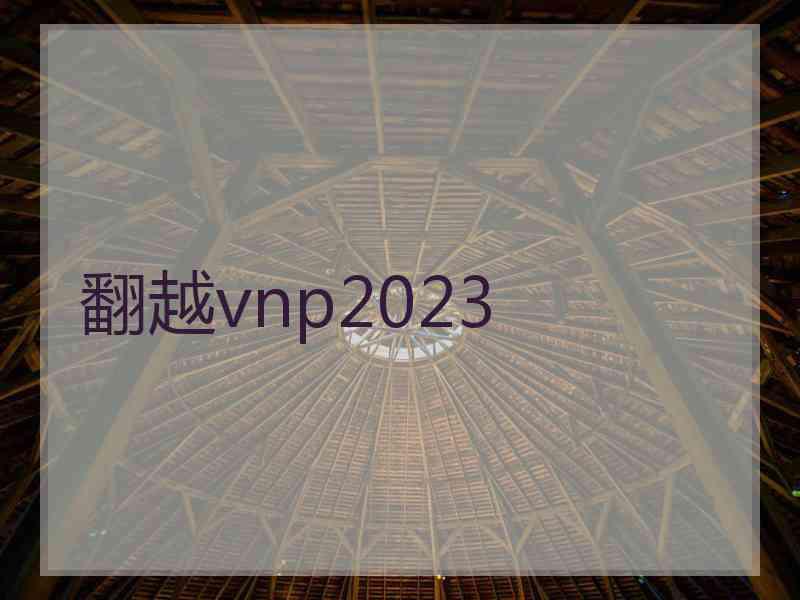 翻越vnp2023