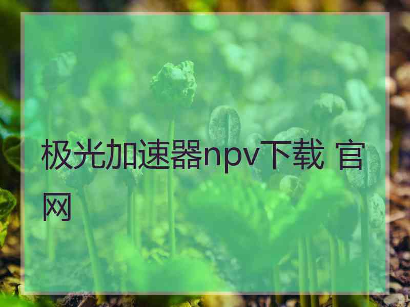 极光加速器npv下载 官网