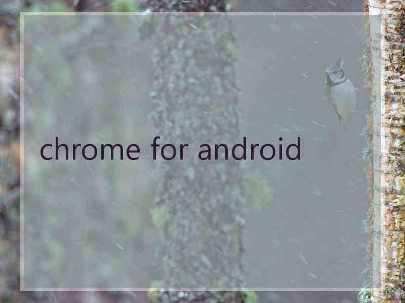 chrome for android