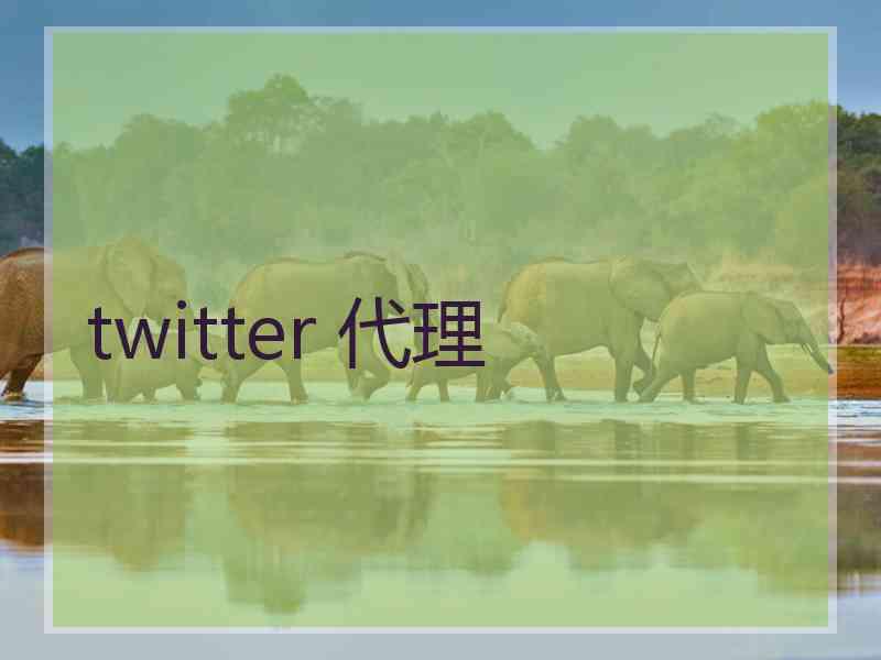 twitter 代理