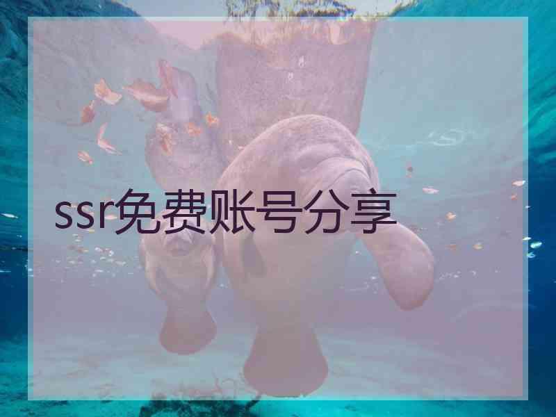 ssr免费账号分享