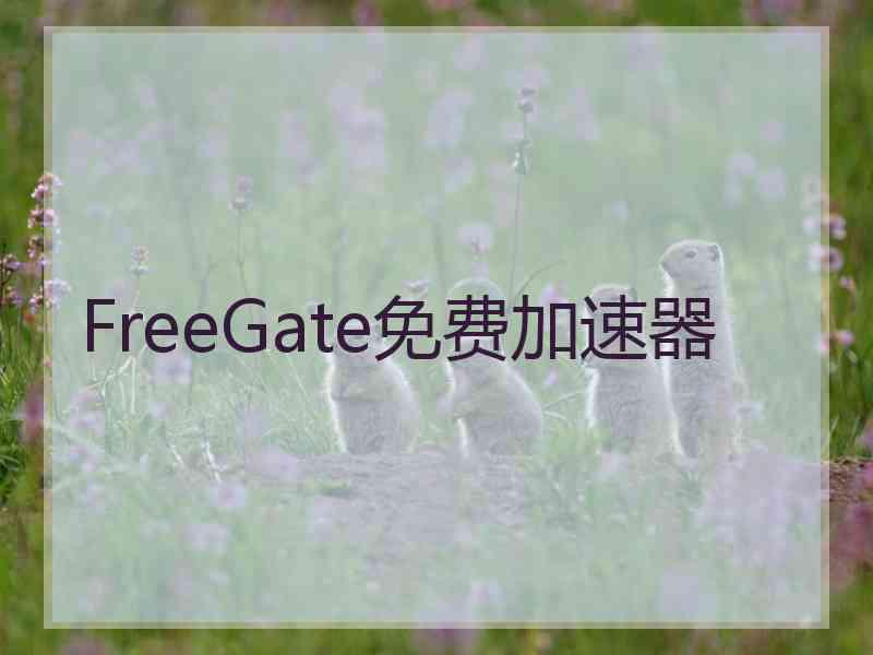 FreeGate免费加速器