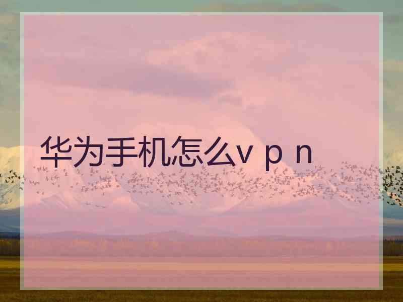 华为手机怎么v p n