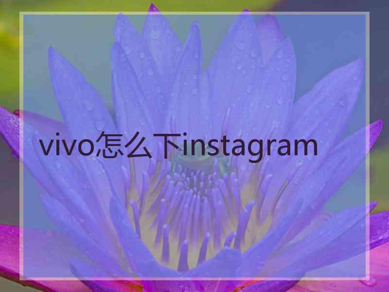 vivo怎么下instagram