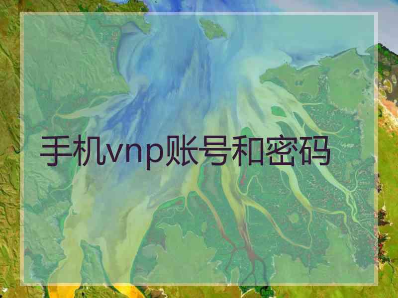 手机vnp账号和密码