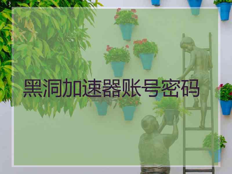 黑洞加速器账号密码