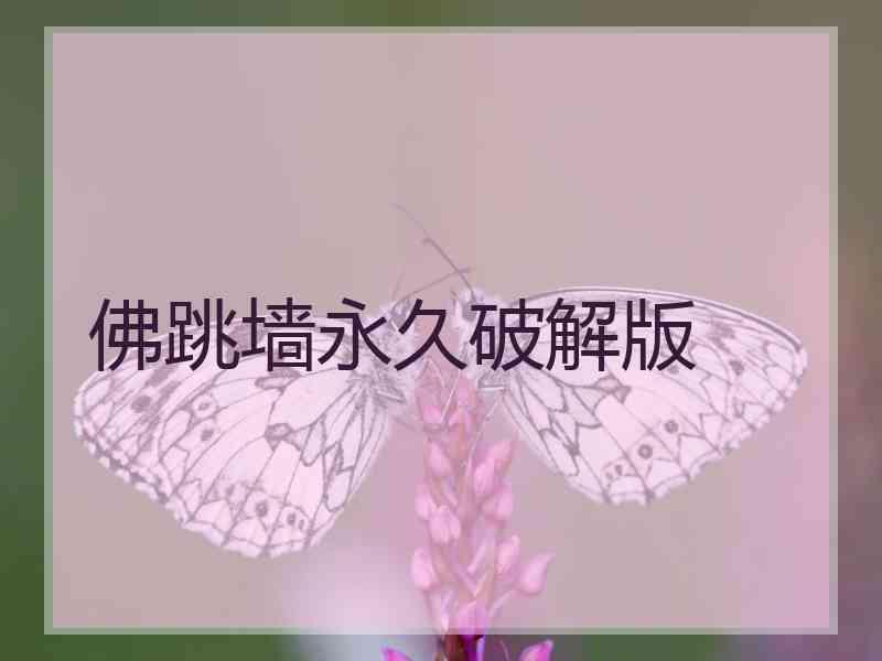 佛跳墙永久破解版