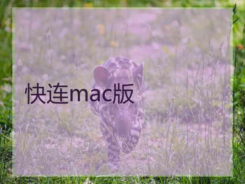 快连mac版