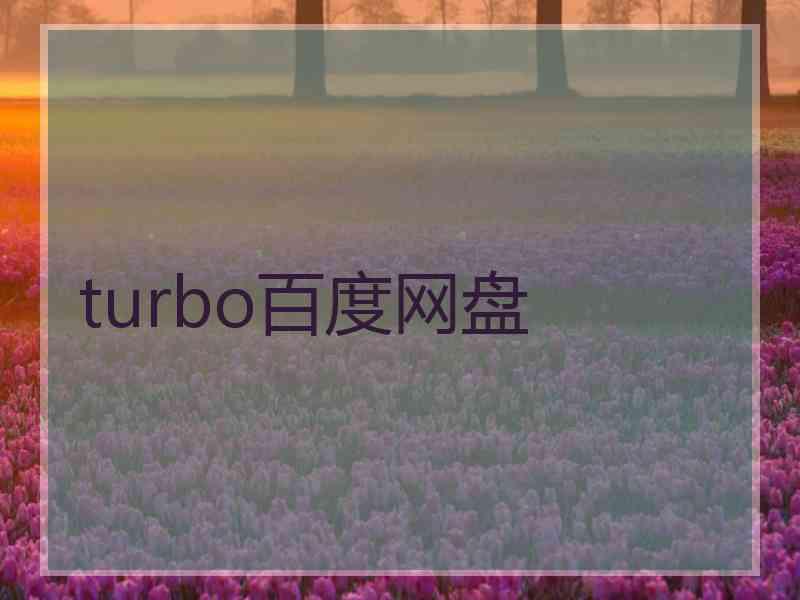 turbo百度网盘