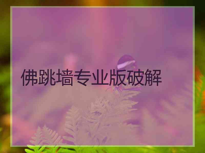 佛跳墙专业版破解