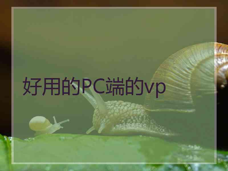 好用的PC端的vp