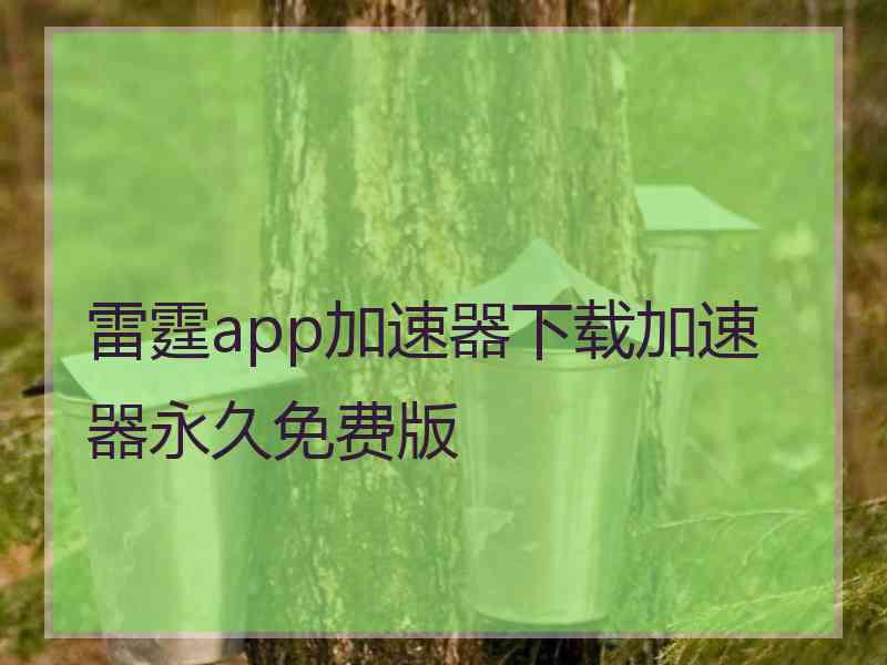 雷霆app加速器下载加速器永久免费版