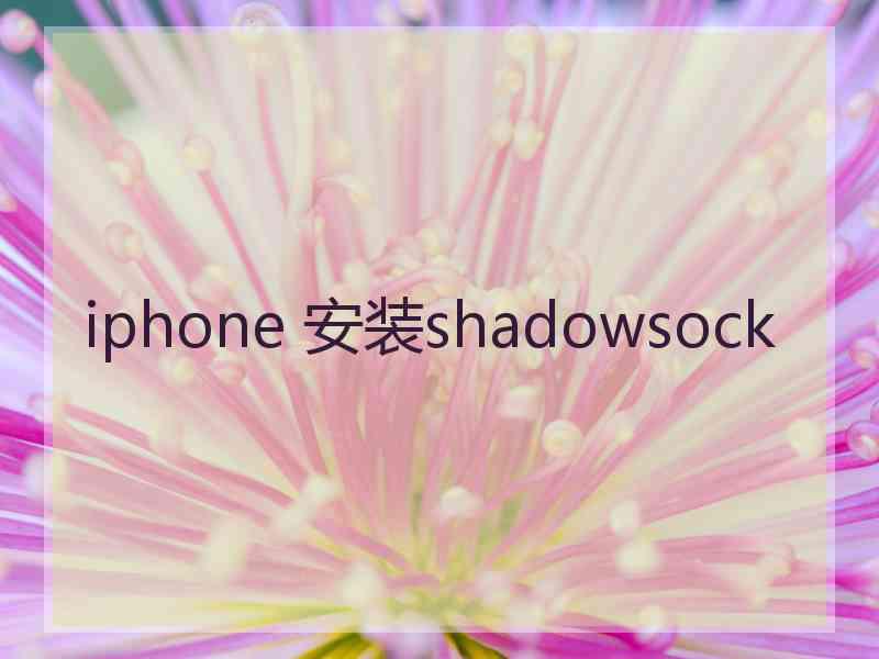 iphone 安装shadowsock