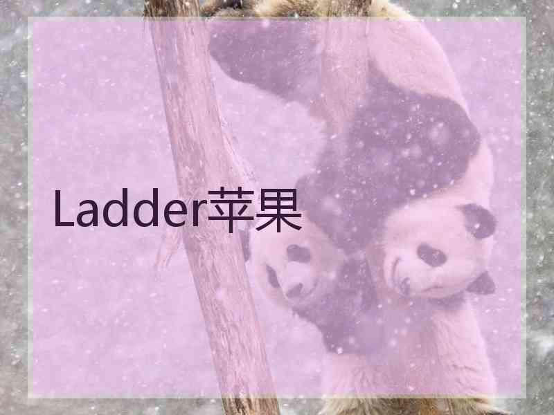 Ladder苹果