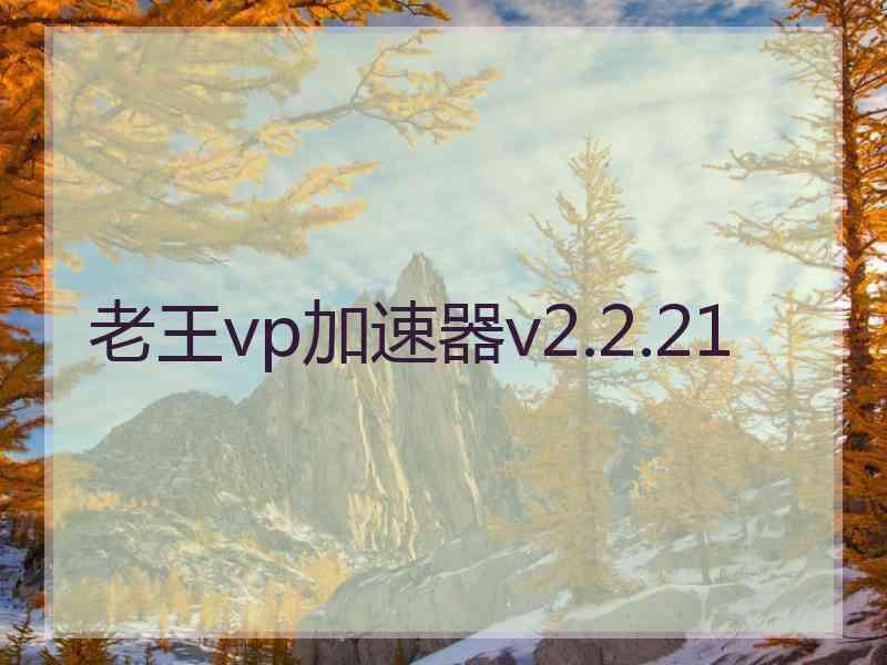 老王vp加速器v2.2.21