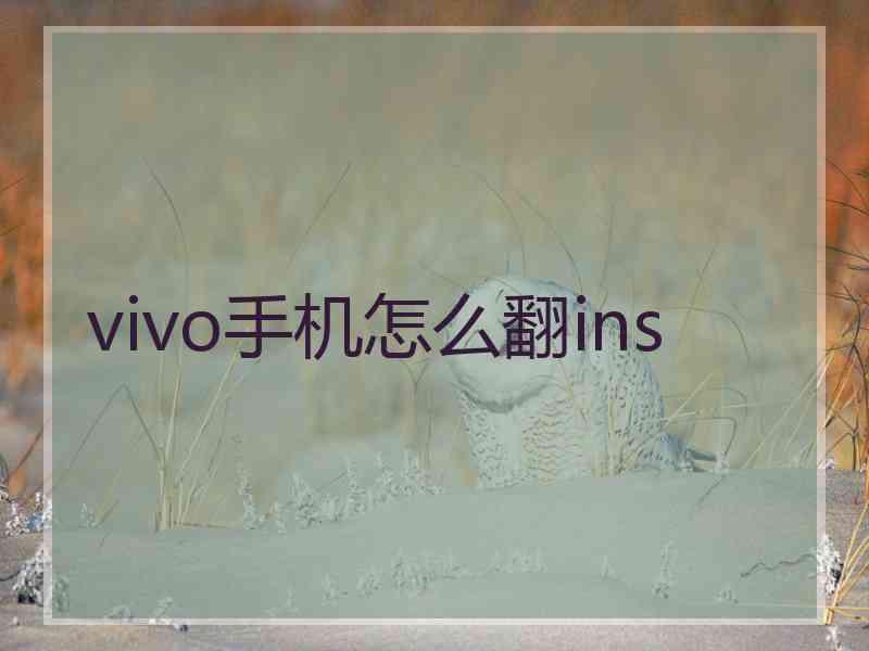 vivo手机怎么翻ins