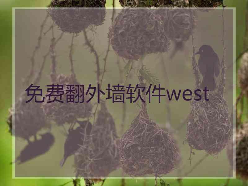 免费翻外墙软件west