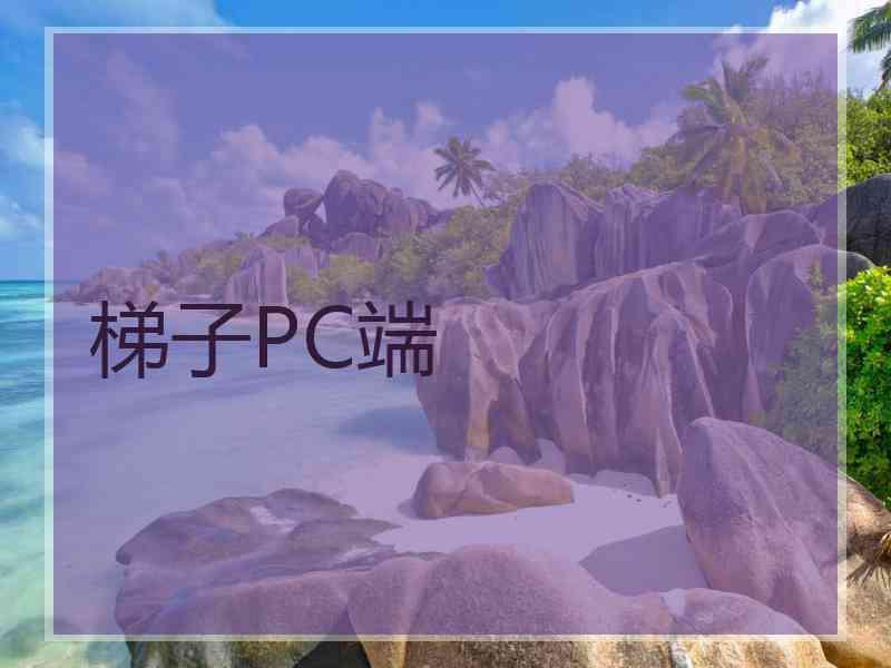 梯子PC端