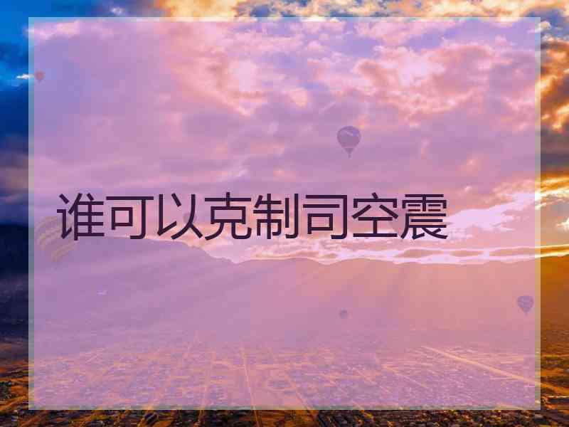 谁可以克制司空震