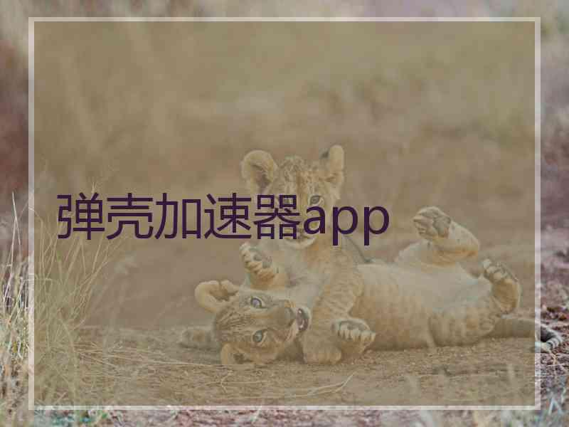 弹壳加速器app