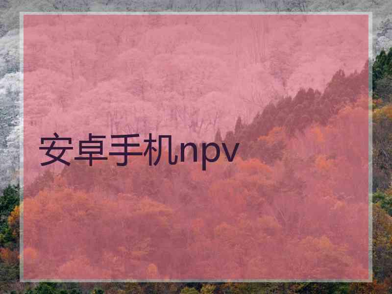 安卓手机npv