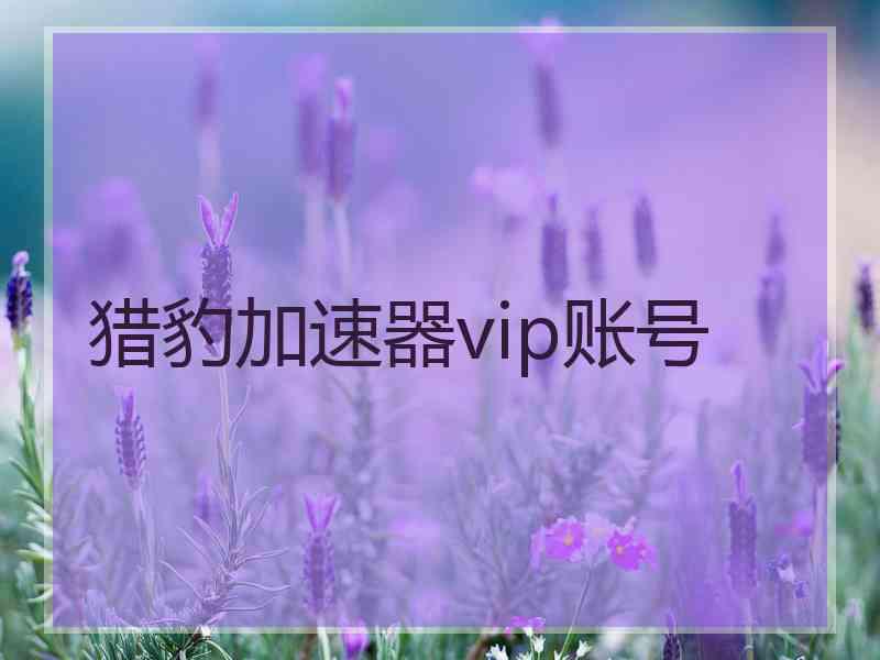 猎豹加速器vip账号