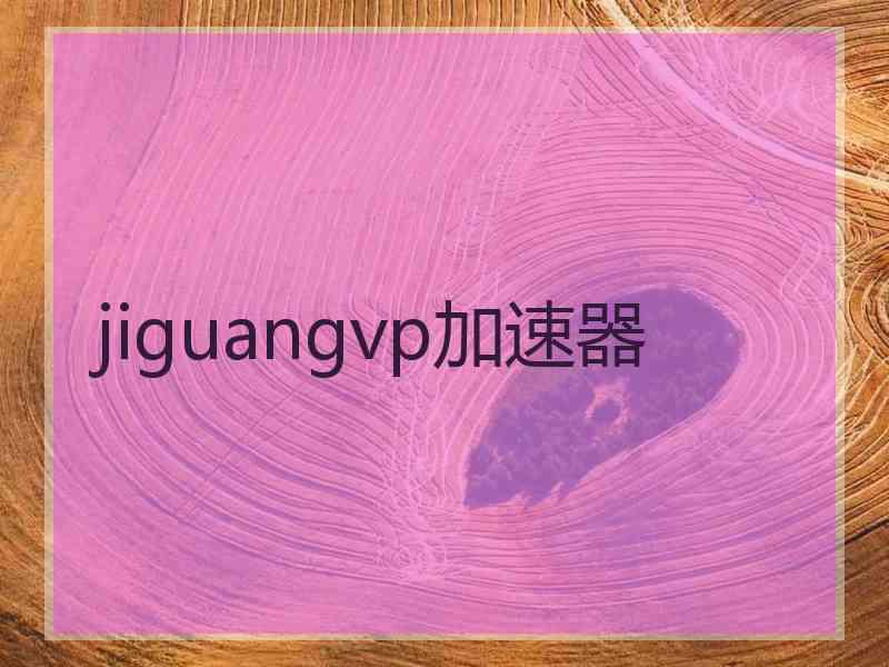 jiguangvp加速器